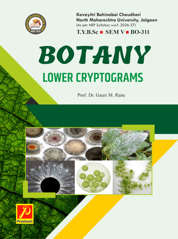 Lower Cryptograms - BO-311