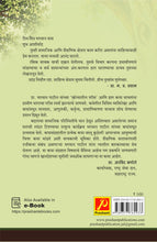 खोप्यातील परीस