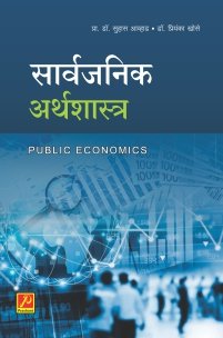 सार्वजनिक अर्थशास्त्र