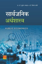 सार्वजनिक अर्थशास्त्र