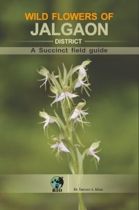 Wild Flowers of Jalgaon District